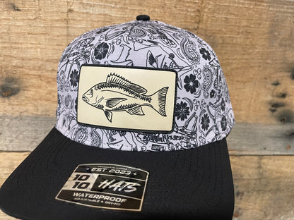 Red Snapper - Sand - Black Reef