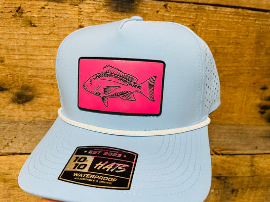 Red Snapper - Pink - Sky Blue