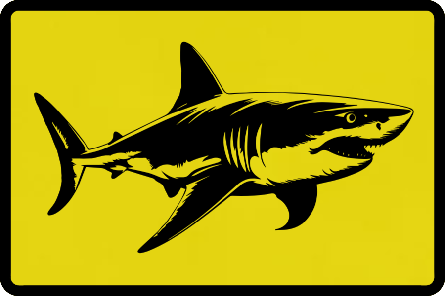Build Your Own Great White Shark Patch Hat