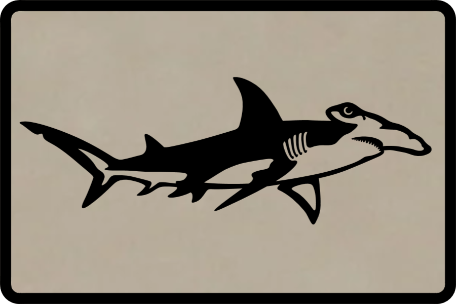 Hammerhead Patch Hat