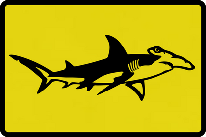 Hammerhead Patch Hat