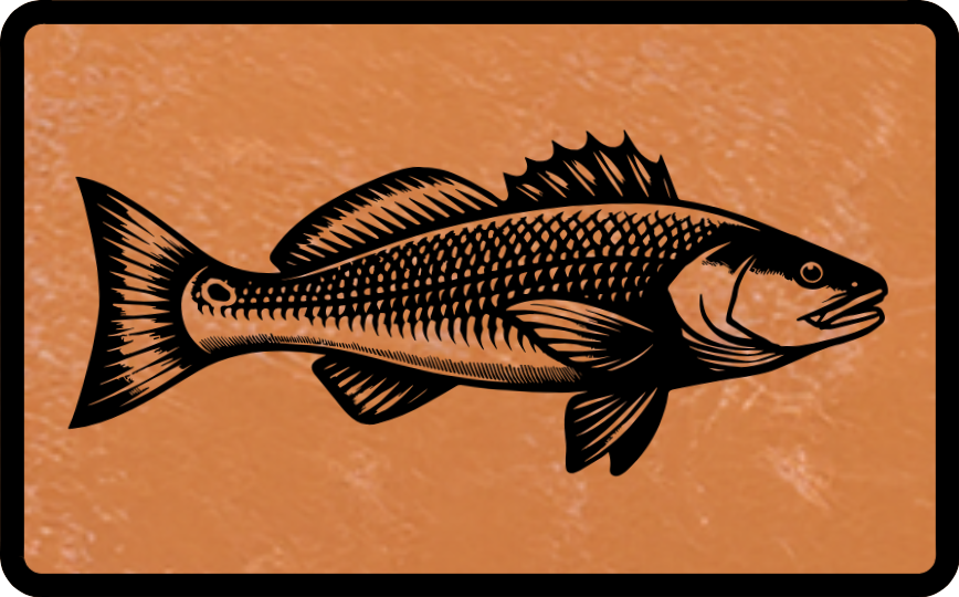 Build Your Own Redfish Patch Hat