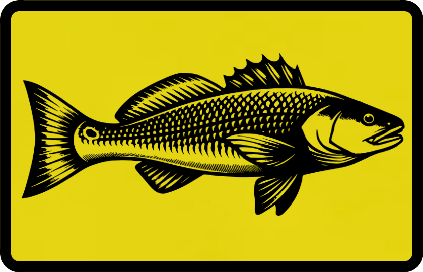 Build Your Own Redfish Patch Hat